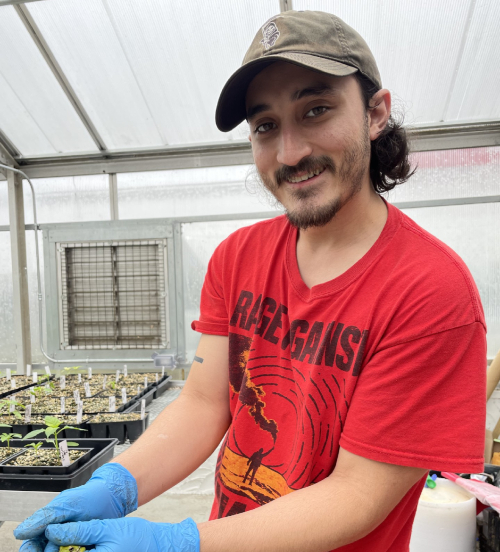 Ian Nelson in a greenhouse.